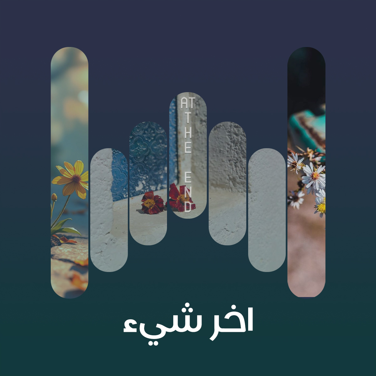album-art