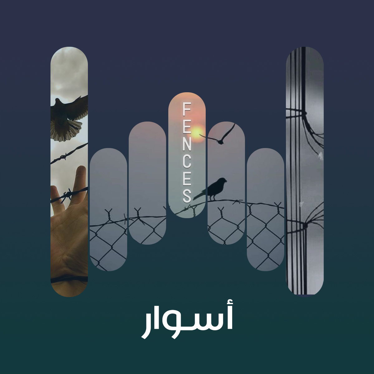 album-art