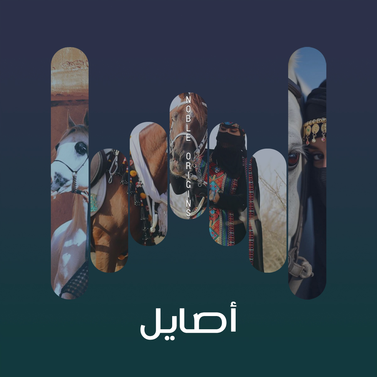 album-art
