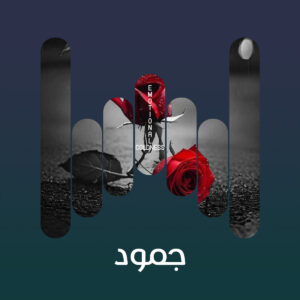 البوم جمود