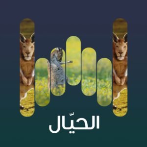 الحيال01