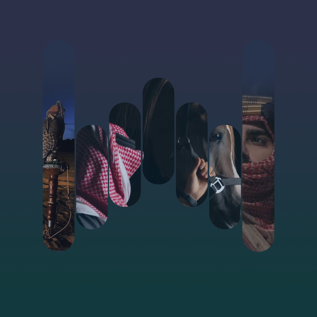 album-art
