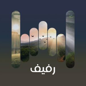 رفيف