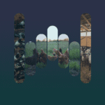 track-artwork