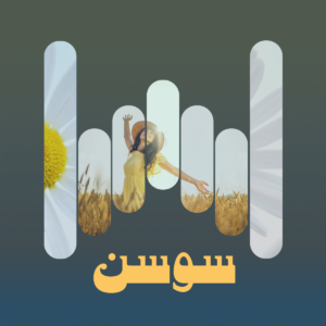 البوم سوسن