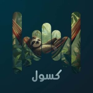 v3 كسول