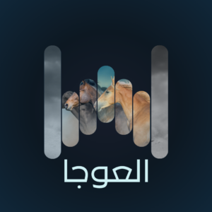 العوجا